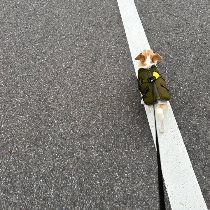 Bfc18c6a 8609 47f0 9043 d3aa711d18b9 1771143449234