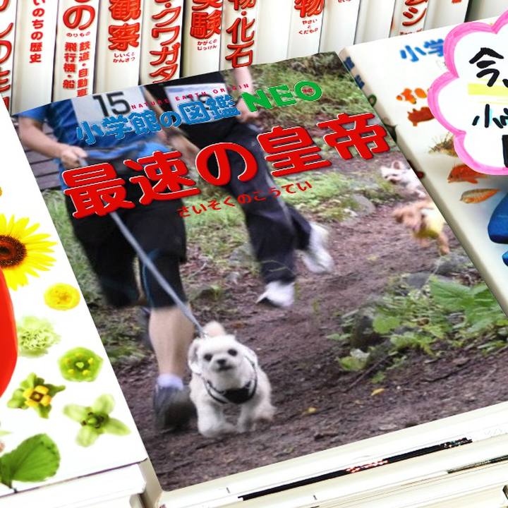 Bfc1cee9 ae63 410b 9c81 e6acb2bdff13 1578200959992