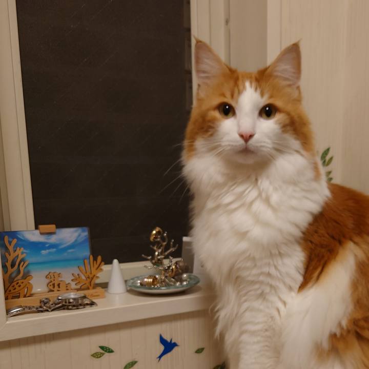 Bfc1d6ff de4a 4733 81d9 5898be825e2f 1667570840843