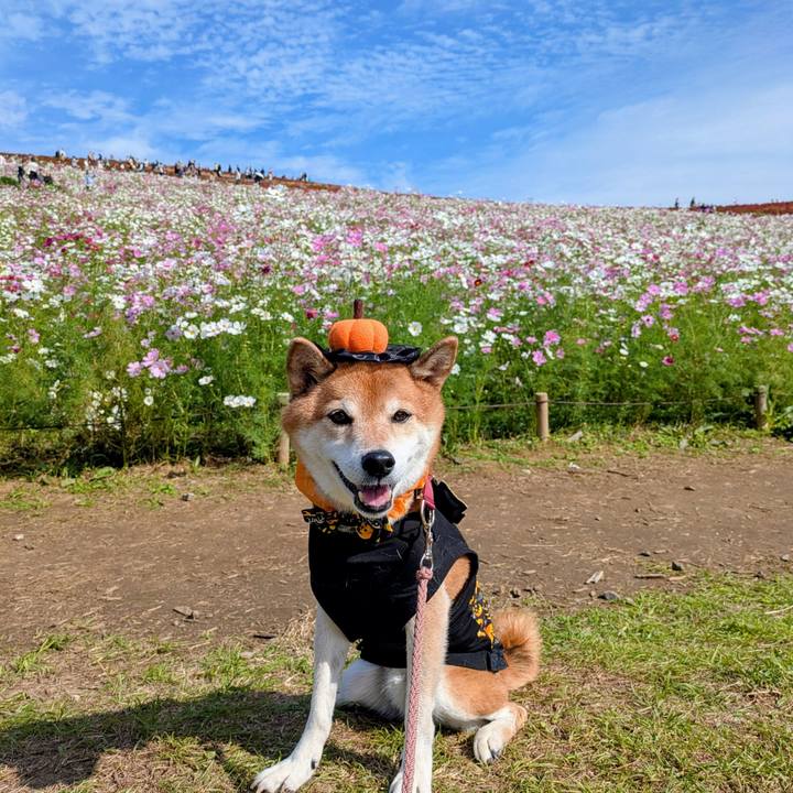 Bfc1f4c8 5a75 44d8 bb39 b977fb7e45fa 1761736794169