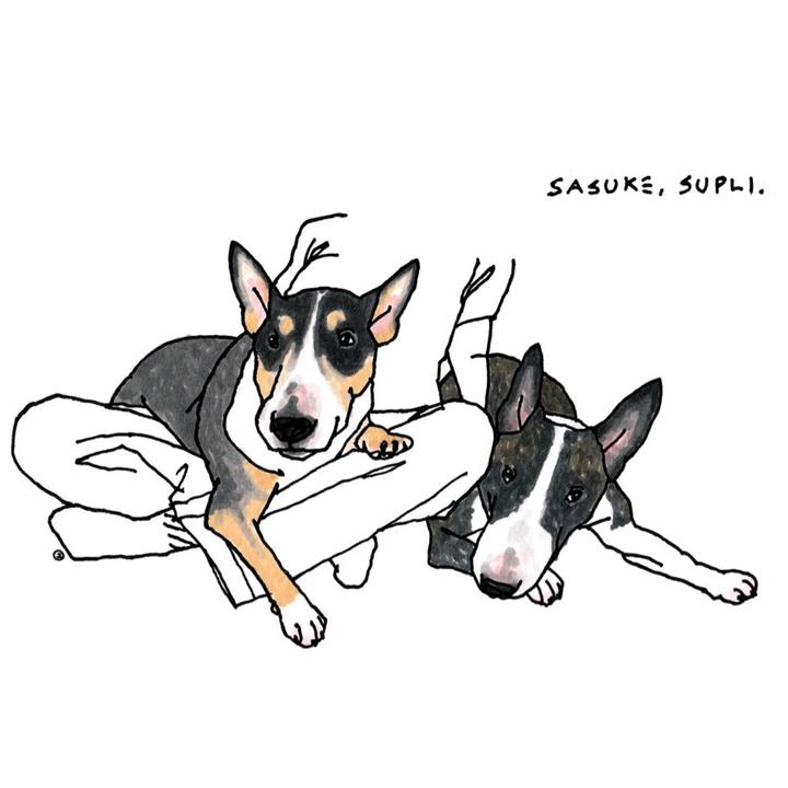 Bfc20530 2aab 44b6 bd00 bc70b20471fe 1661868387746