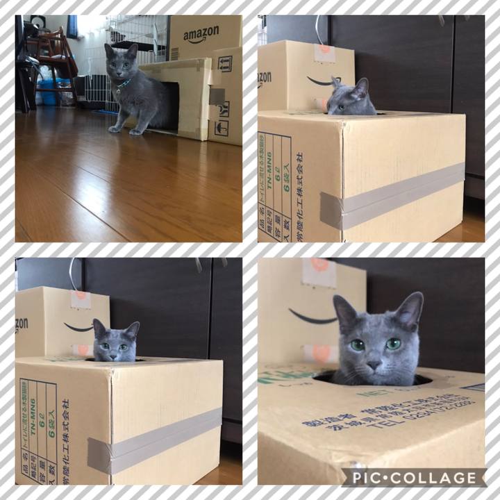 Bfc217c8 8fe8 4761 8a7e eed2f8931f09 1596343092910