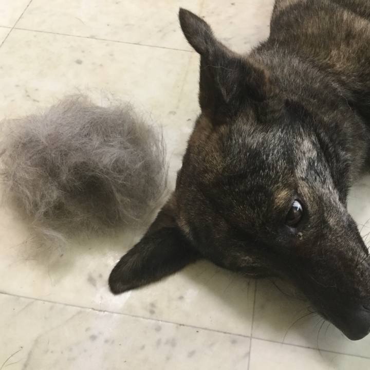 Bfc26093 0b4f 41f6 9679 6e38390aad6f 1557798978363