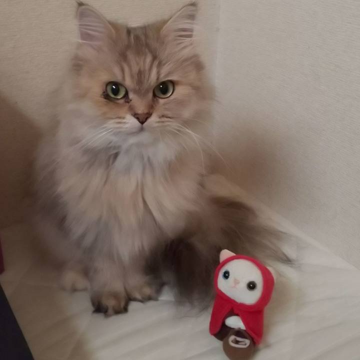 Bfc2635f 0cfb 4245 b77a 9bda8e60f15b 1631412858214