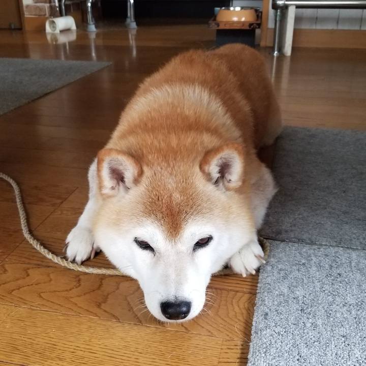 Bfc27aa2 0a89 4dbc ad7e 4f793c9a995f 1657692556507