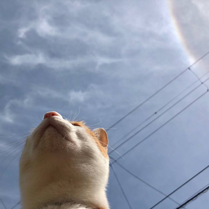 Bfc2bdd6 6d3a 4c43 ab2e a14e943e3af3 1539397061742