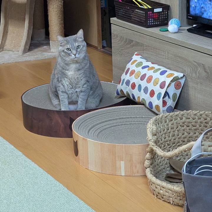 Bfc2ec03 4120 49e2 9e01 a3224b1b7191 1767945953327