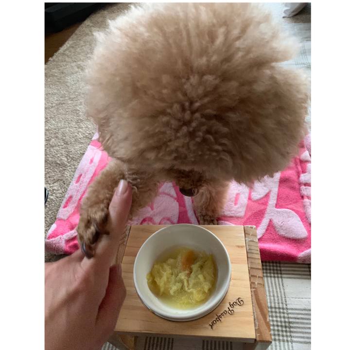 Bfc2fc11 9633 45af bf9f 7be66568f011 1560584652673