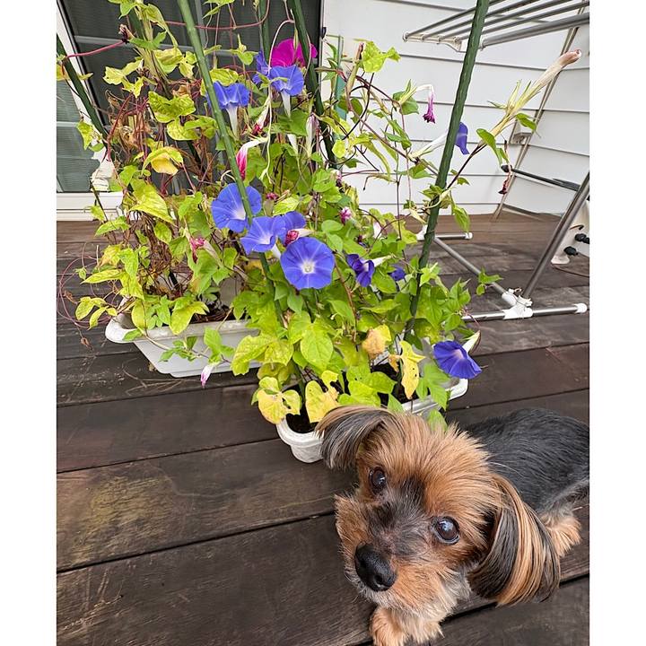 Bfc372e1 3959 4770 898a feb34dd18a5c 1758319398699