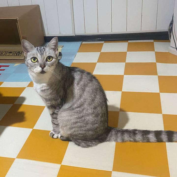 Bfc3bcf9 e2f7 4c42 a50e f0e5fa5da86d 1724235046645