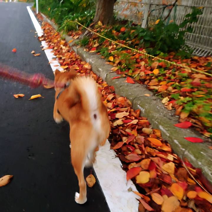 Bfc3cdb4 7644 43b3 bfe1 7d150cb991d9 1764584050211