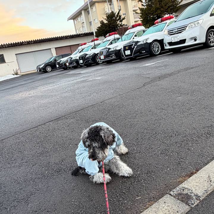 Bfc3d15a 2efa 4de3 bd71 6c84cc3c0cfe 1765623161053