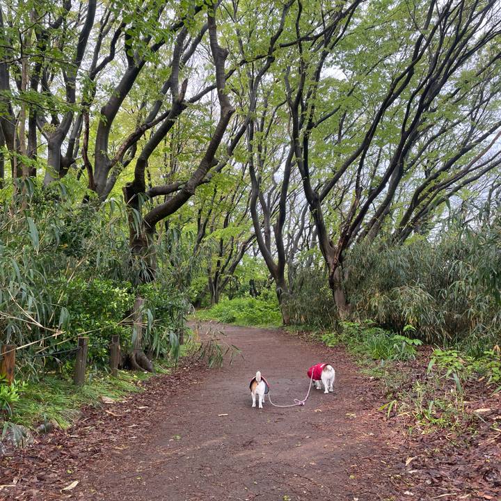 Bfc3e74e 7cc6 4f7a b077 da57fac4e8fc 1746574804106