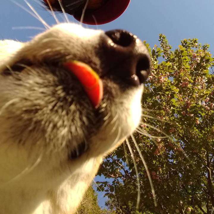 Bfc417a5 6070 44f9 97b0 1948ea894a53 1557869251352