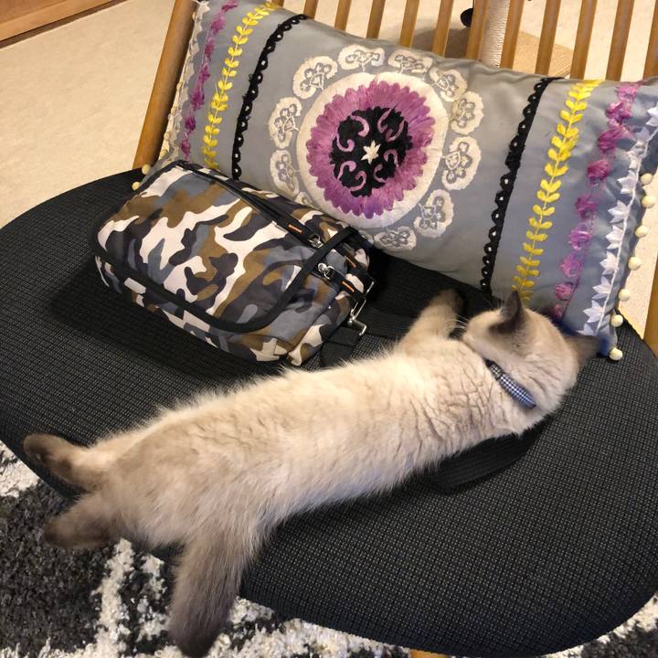 Bfc41846 4805 4d10 b775 142d72538425 1588256481167