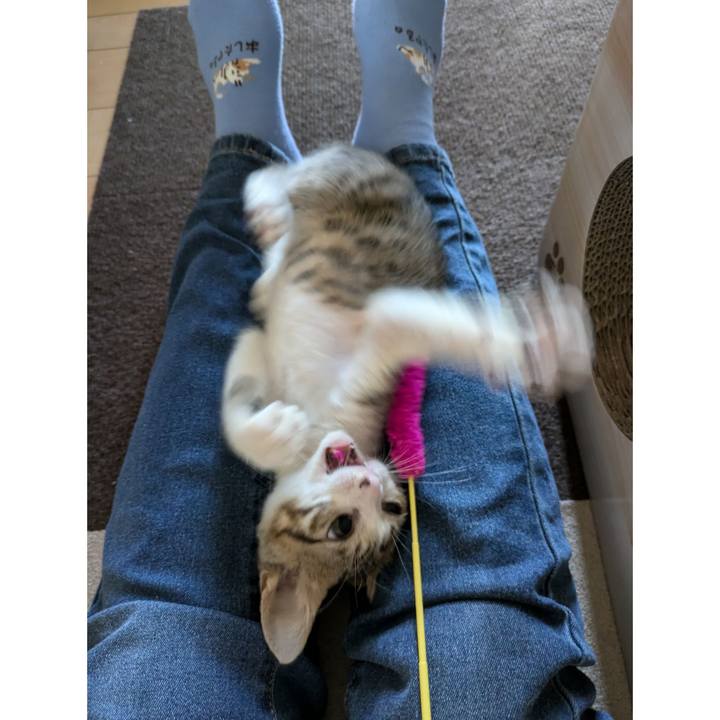 Bfc44140 edd4 4191 a117 acbdc3805682 1728804962587