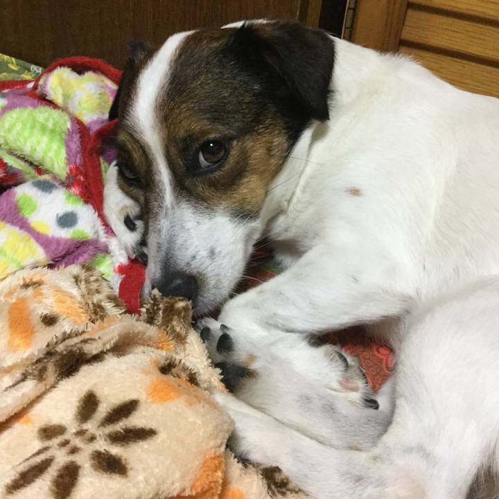 Bfc4704c dbb5 4f71 bb70 e99e5de226f1 1530358594807