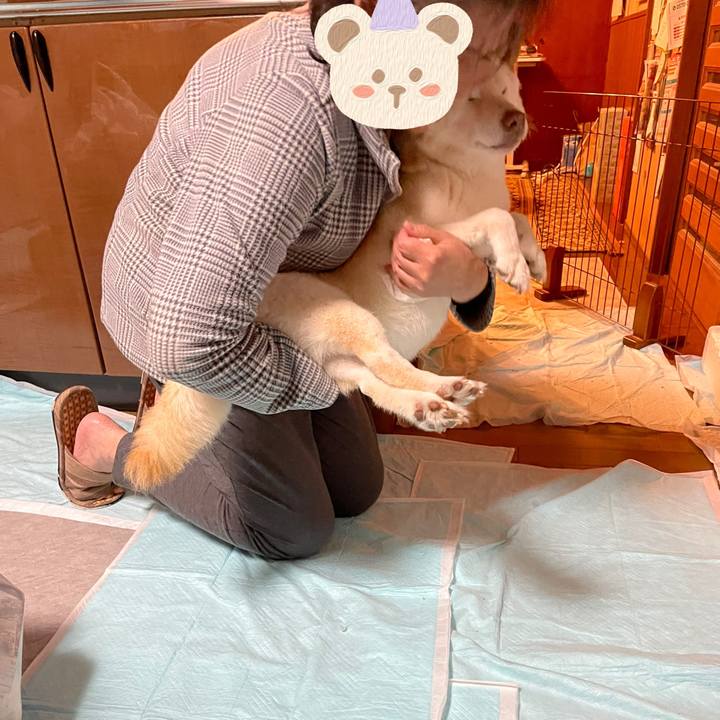 Bfc489d2 c811 4332 965b f3a313b7b240 1636773119304