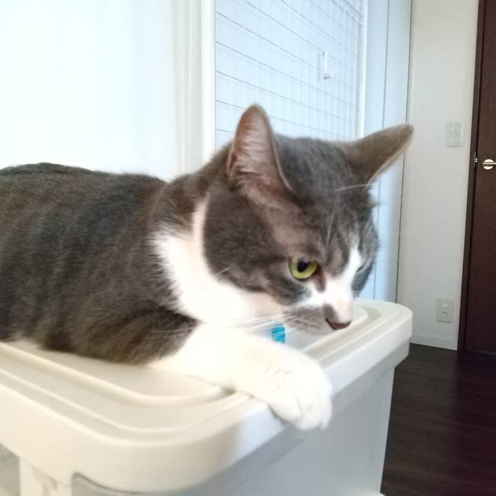 Bfc4c907 eb18 4377 b0ca 57323869c74d 1610152888045