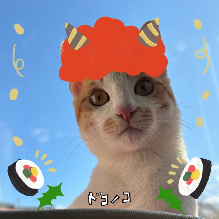 Bfc52d2b 1e09 4c73 a1a5 2b7532d6c210 1706921555606