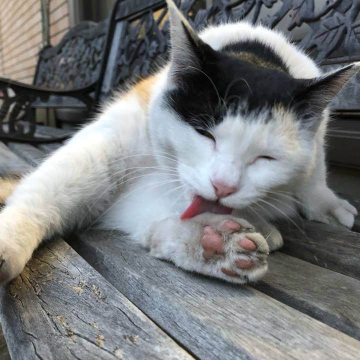 Bfc543a4 59f8 4fee 8c3c 89bd04653d3b 1615372748770