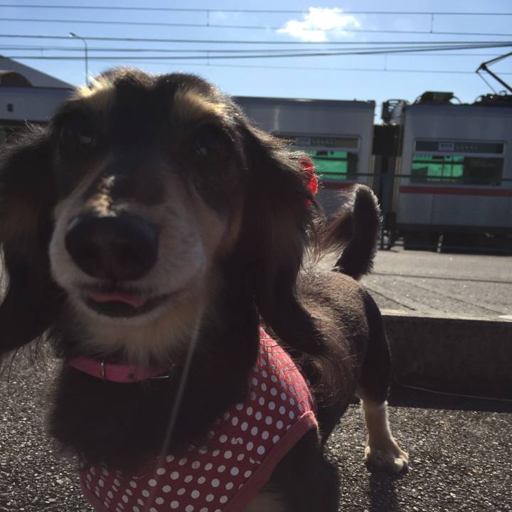 Bfc55a21 8c80 4834 bfa6 4b62e39d8814 1545101940276