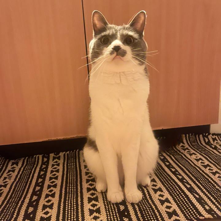 Bfc59ad8 daf0 4512 985b 0b0827197cbe 1652196853078