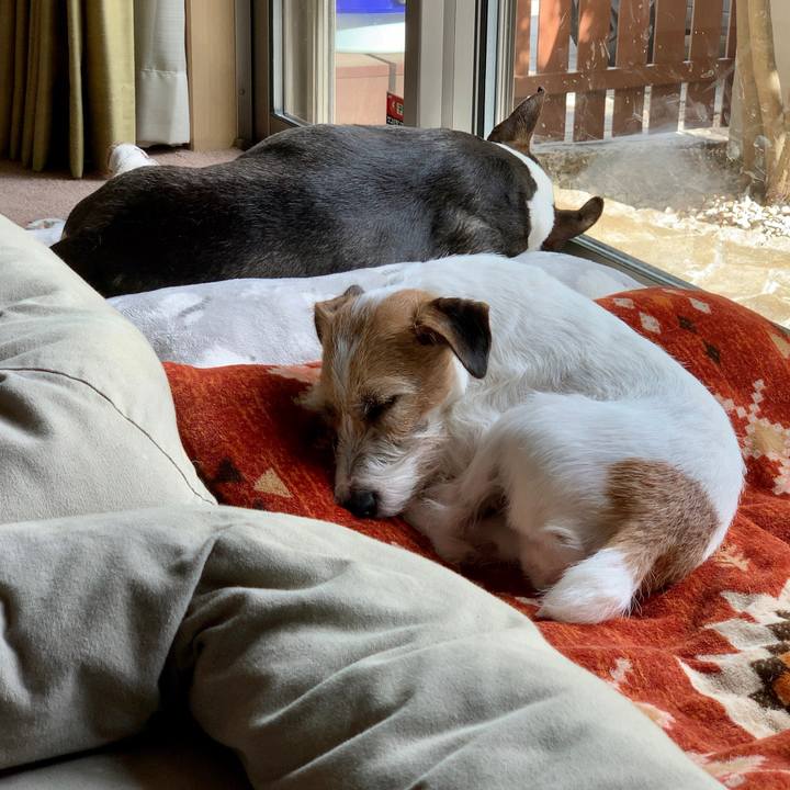 Bfc59cb2 5878 4f4f 8397 43d24ee97906 1619266084067