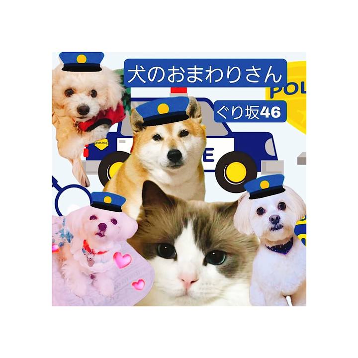 Bfc5b81e f50a 4b78 86ae c98af2047a5c 1653998148428