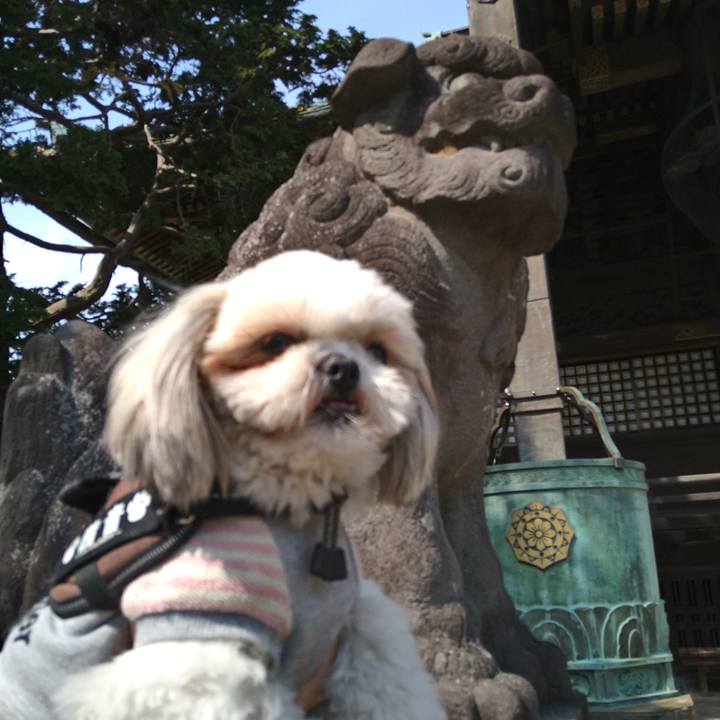 Bfc5df2a ef9d 4be7 af12 5f11e1b0c323 1616922069084