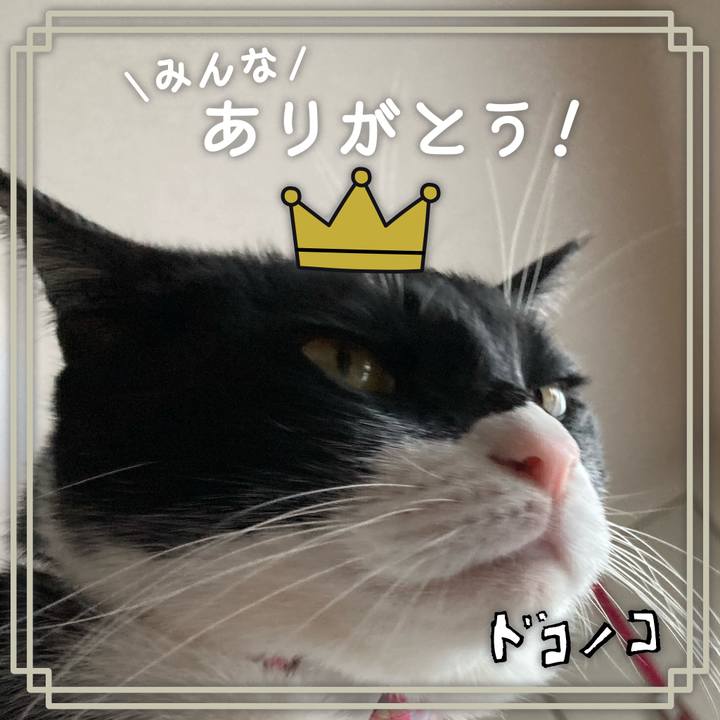 Bfc5fc04 3308 4892 b766 3342a2b0bc12 1622899679880