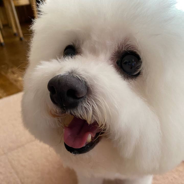 Bfc6377c 1d2e 48f9 9205 cb7c85e300c2 1660192647098