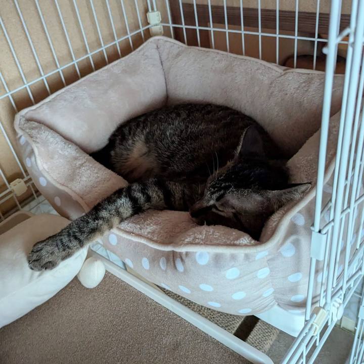 Bfc6584f 8889 4b26 8f9d c0b897430a23 1725359866337