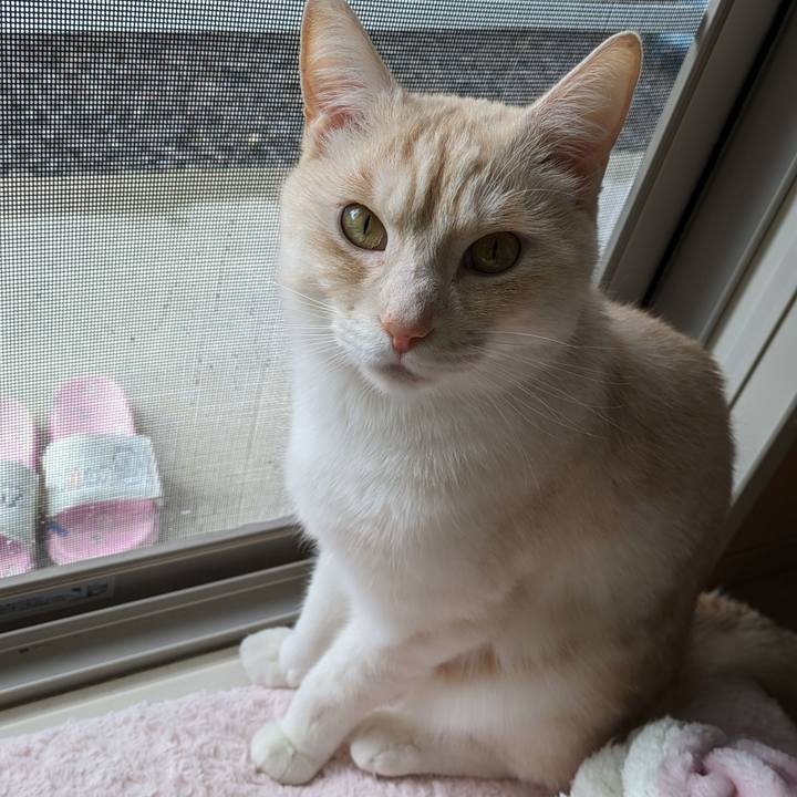 Bfc66ea6 516d 4a82 b41d bff9d83ee6a3 1713310300507