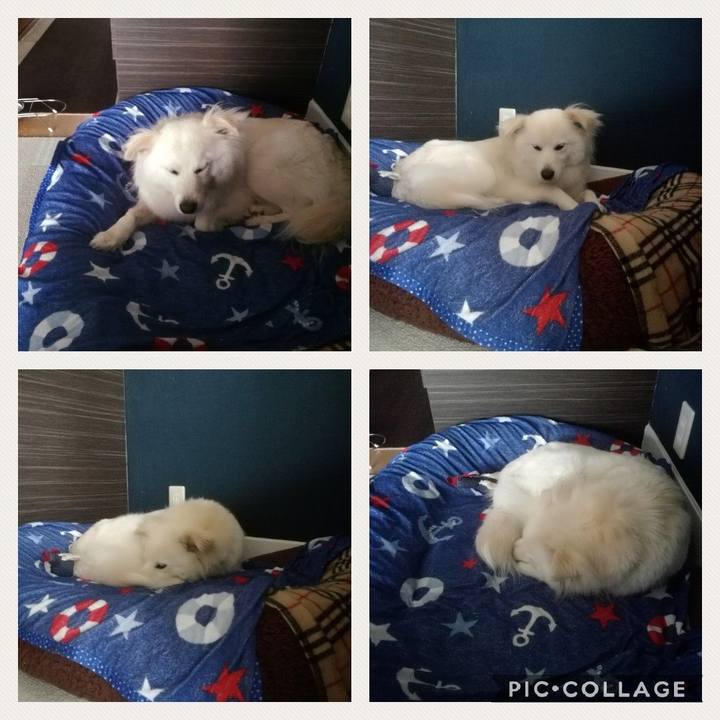 Bfc671be 3998 4b0d a528 2e9b15feb790 1522992307987