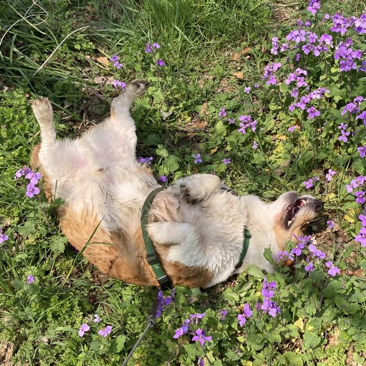 Bfc67ba1 efa9 4e30 91b4 3a316f55748c 1742954429907