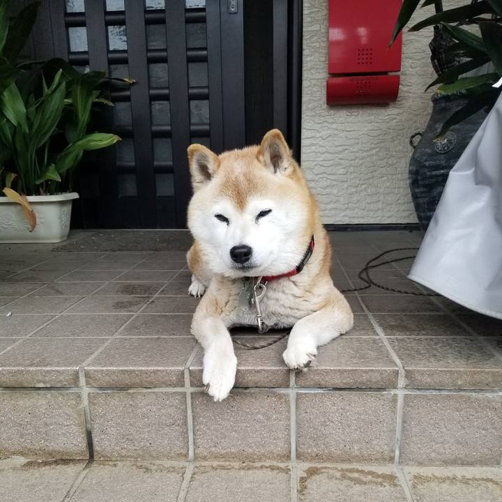 Bfc69ad0 f4d3 4e9b 8de0 f3b42fde5985 1715069477946