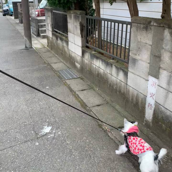 Bfc71362 c71f 4c9a a0e6 13c362bd48c9 1676164394485