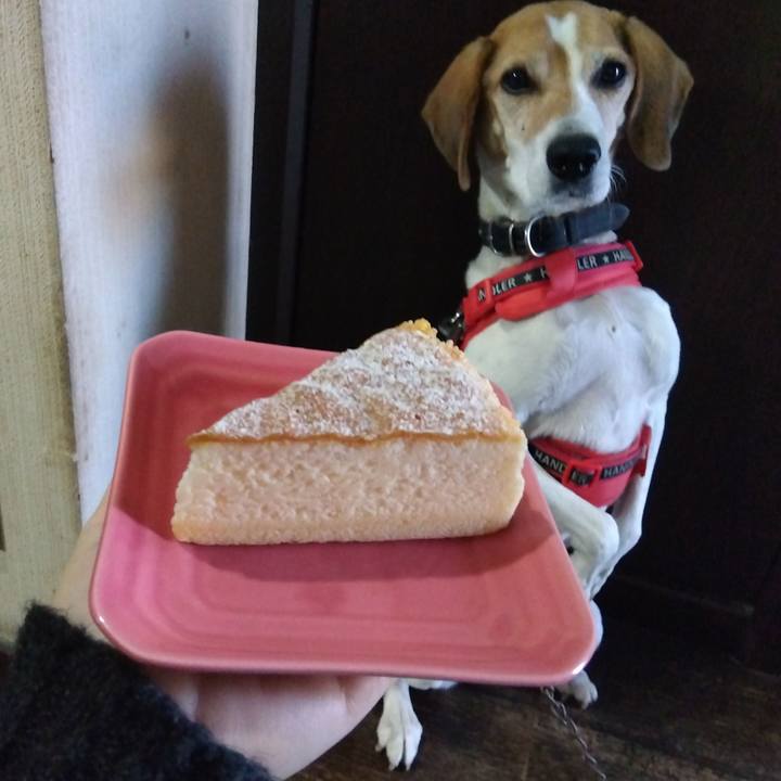 Bfc74eeb 8b79 40c2 957b 1ea2c2b6ea52 1700652736339