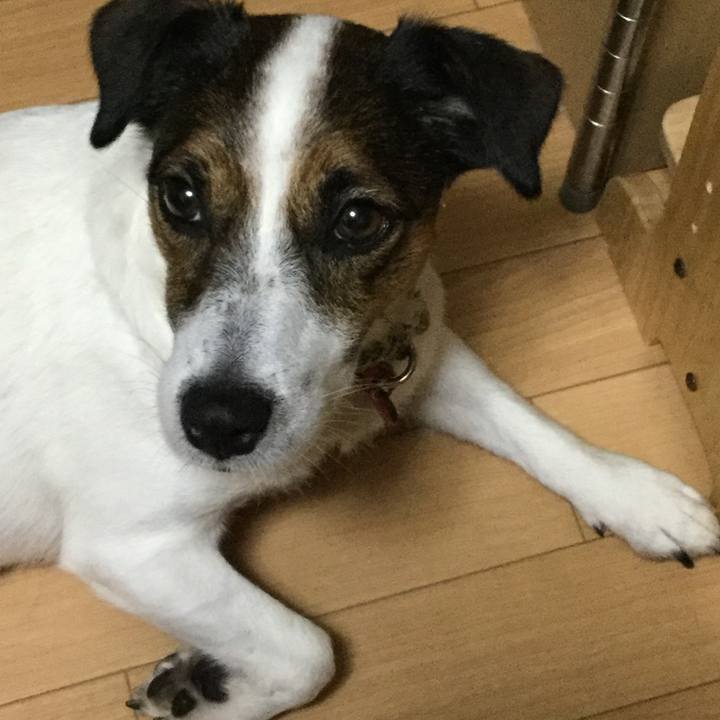 Bfc75b17 3141 4d08 ad1a b17f1dcacb64 1539772873889