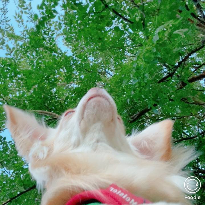 Bfc76972 c2f5 4048 80cb 1824bbfb1a25 1627988043274