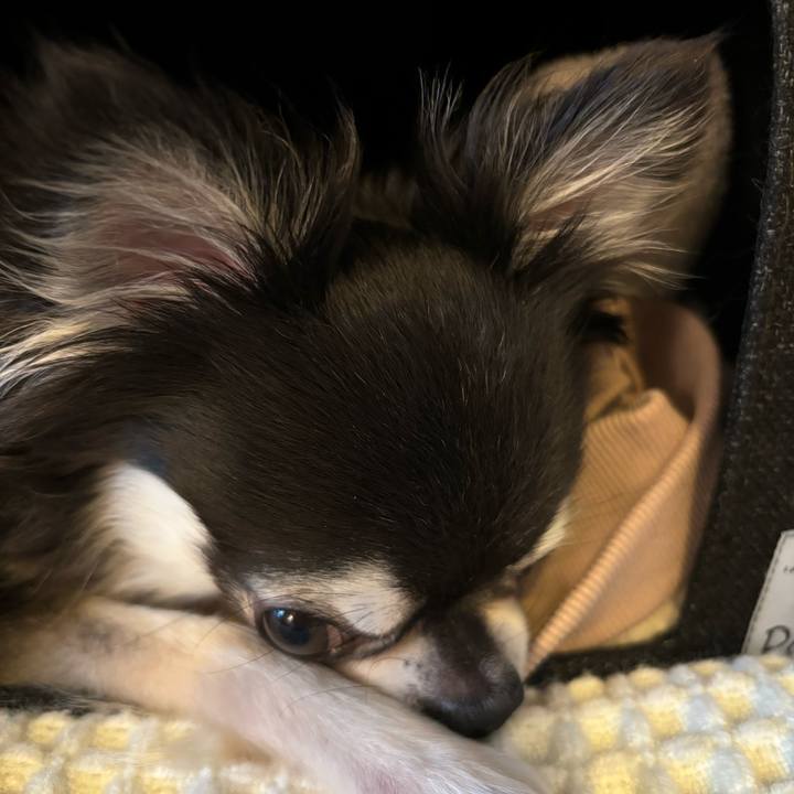 Bfc77c36 a88d 49e4 84d6 4dfe1442d13a 1720367267446