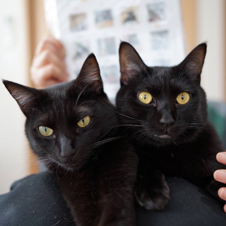 Bfc7ef2b 0977 4f7d 9f93 987fe4469408 1546047379800