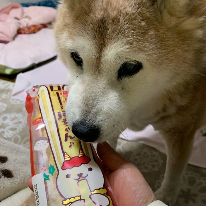 Bfc7f0be b47f 44b9 80e7 8671a2f82cf2 1675478992698