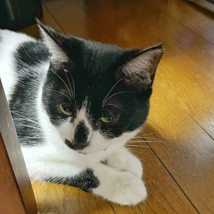 Bfc7f222 9474 4dc1 acc1 0c9bc96b5a3d 1754434553088