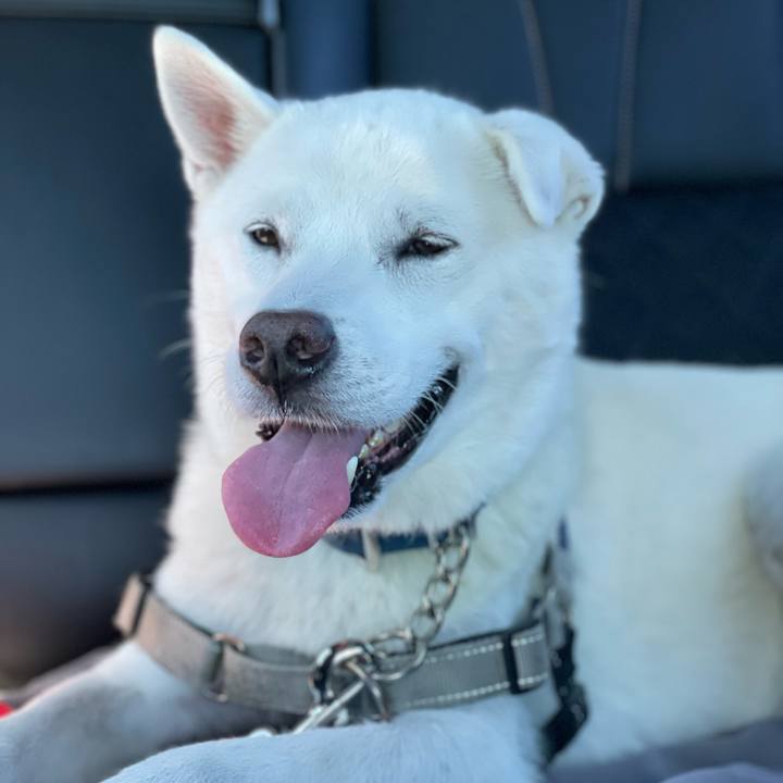 Bfc80975 0e8b 48f8 b4c3 9b6b9db50fb4 1726285416865