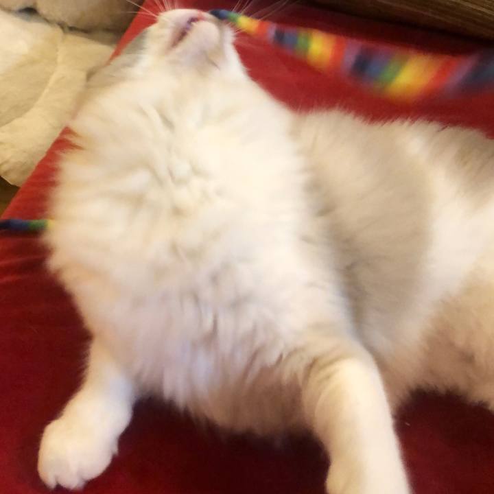 Bfc87565 2345 4c5e 98f4 37e002dd2331 1580258747906