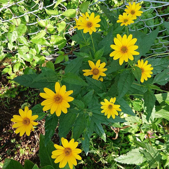 Bfc89ada 8248 4041 bf0e 05258b253cb2 1658793588492