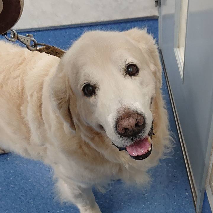 Bfc8a490 1fe7 45bd ac24 cadfb6a3e7a2 1574892839222