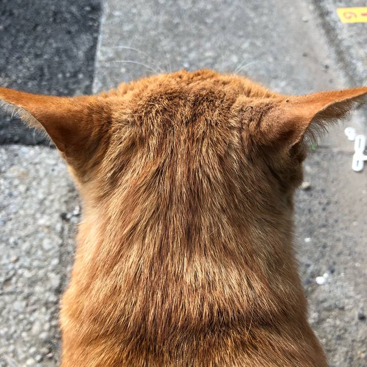 Bfc8b844 bcab 4fb3 9803 3b4f973c7a7c 1523522739527